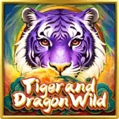 Tiger and Dragon Wild game thumbnail